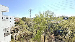 前面建物が無い最上階ならではの空と緑広がる開放感溢れる眺め!