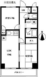 アミスター
