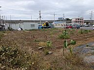 神奈川県横浜市港北区新羽町2128：物件画像／イッコー不動産センター　株式会社石原興業　新羽本社