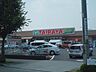 周辺：エコス TAIRAYA（たいらや） 元八王子店（977m）