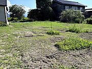 裏側から