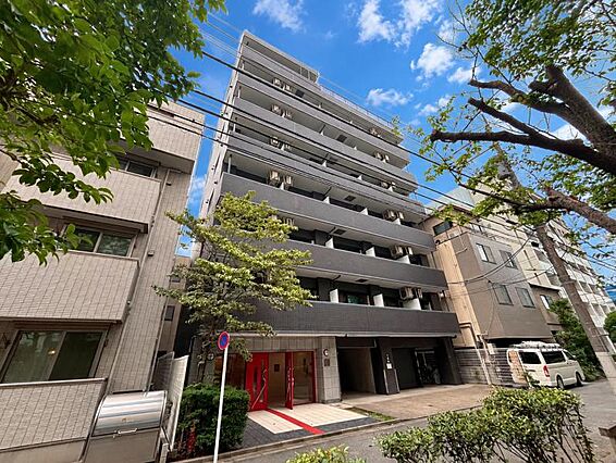 実際の日当たり...