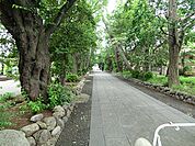 鷺草園　720ｍ
