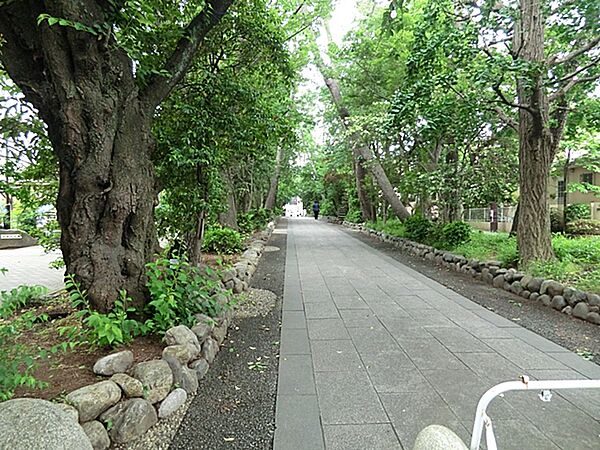 周辺を拡大表示