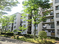 大阪府寝屋川市梅が丘1丁目：物件画像／ちんたいぷらざ　タートルハウス