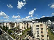 東向きです。