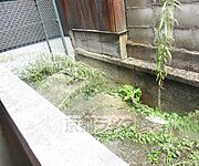 風通しが良いです