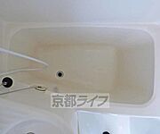 バスです。