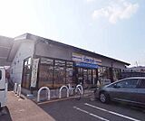 ミニストップ白川通上高野店まで225m ソフトクリームなどここにしかない商品がたくさんあります。