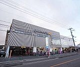 グルメシティ 上桂店まで350m ダイエー系列で商品のラインナップも豊富です