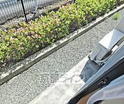 窓の外の写真です