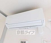どの時期でも大活躍