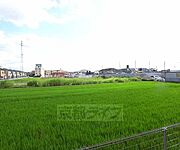 バルコニーからの風景です。