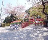 菊の花幼稚園まで700m