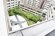 中庭