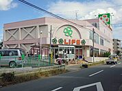 ライフ　赤塚店