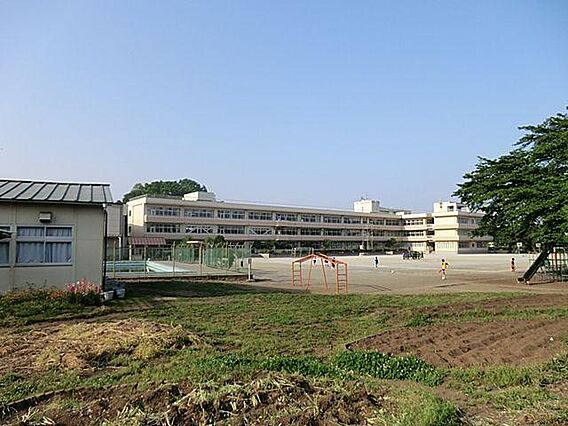 青梅市立新町小...