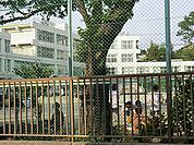 徒歩、約13分