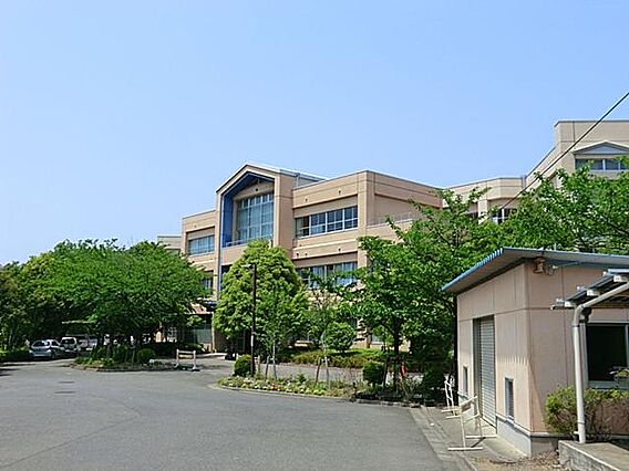 八王子市立松木...