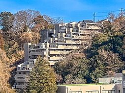 ライフアップ聖蹟桜ヶ丘
