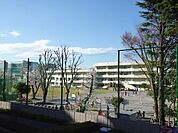 府中市立府中第一小学校まで約564m