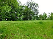 丸池雑木林公園まで約671m
