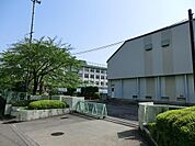 八王子市立柏木小学校まで約517m