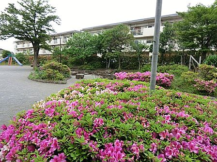 伊豆殿公園まで約763m