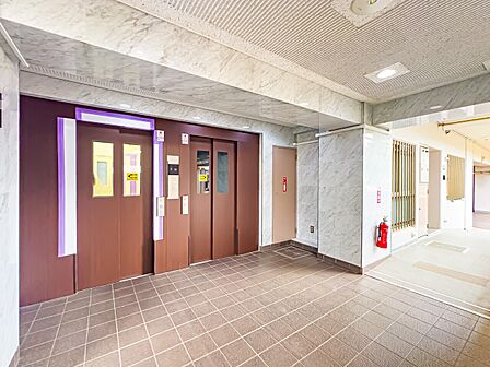 エレベーターを2台完備。総戸数203戸のビッグコミュニティでございます。2026/6/13撮影