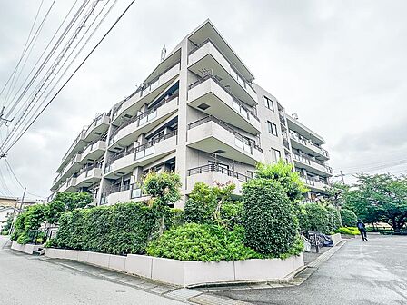 現地(2026年6月)撮影お部屋はリフォーム中です。