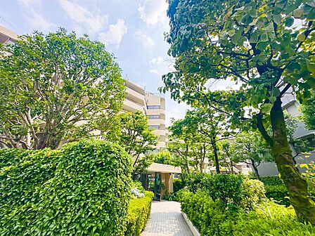 植栽のお手入れが行き届いており、管理状態の良さを感じさせます。共用スペースも皆さん大変綺麗にお使いです。2026/7/16撮影