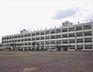 周辺：府中市立府中第三小学校まで約786m