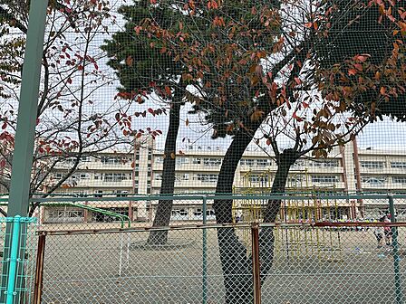 調布市立神代中学校まで約643m