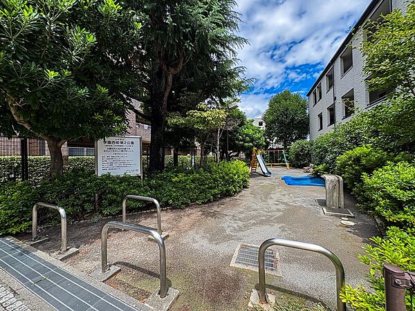 周辺を拡大表示