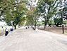 周辺：鶴間公園まで約700m