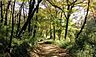 周辺：平山城址公園まで約1100m