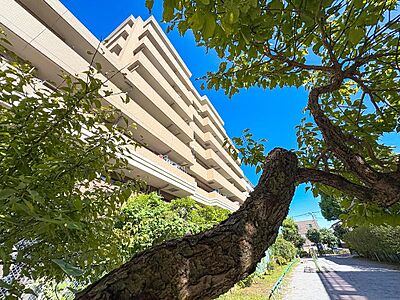 外観:存在感のある外観が特徴のマンション。落ち着いたデザインとしっかりとした構造が安心感をもたらし、住まいとしての信頼性が感じられる美しい造りです。 外観:存在感のある外観が特徴のマンション。落ち着いたデザインとしっかりとした構造が安心感をもたらし、住まいとしての信頼性が感じられる美しい造りです。