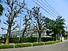 周辺：立川市立立川第一中学校まで約1032m