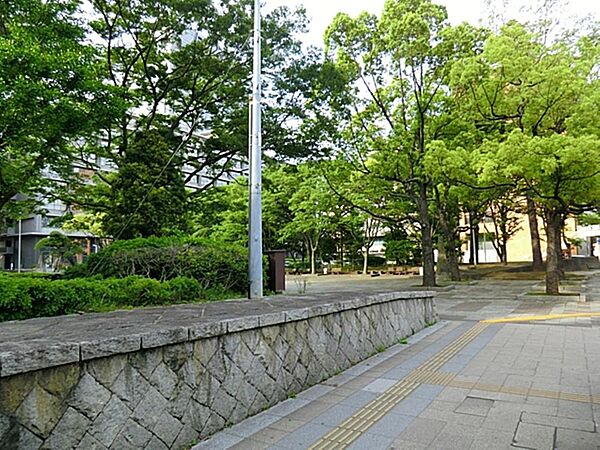 周辺を拡大表示