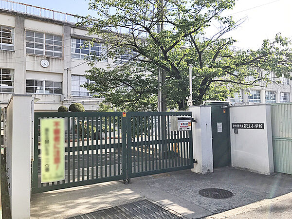 周辺を拡大表示