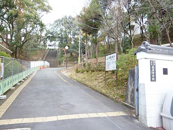周辺を拡大表示