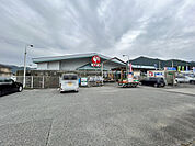 コメリハード＆グリーン市川店