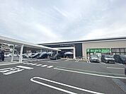 ダイエー瀬田店