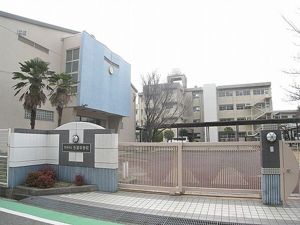 周辺を拡大表示