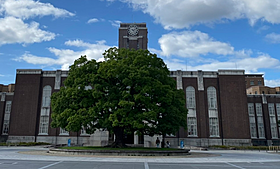 MIO聖護院 106 ｜ 京都府京都市左京区聖護院西町12（賃貸アパート1K・1階・20.75㎡） その24