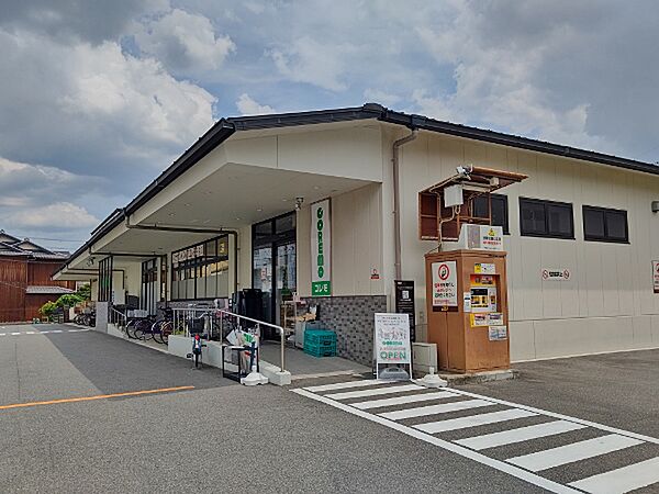 画像14:コレモ壬生店（601m）