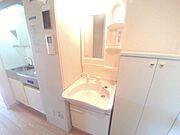 シャンプードレッサー