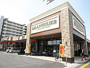 グランデリーズ昭和町店