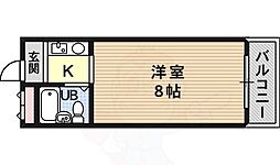 エスティライフ富田林 5階
