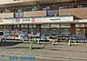 周辺：ドラッグセイムス川崎出来野店 徒歩10分。夜まで営業しているので便利ですね♪ 770m
